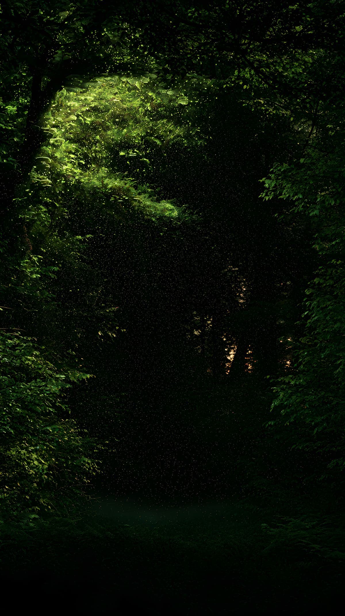 Clairière forestière nocturne éclairée par la bioluminescence